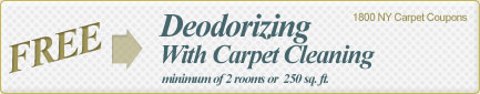 Cleaning Coupons | Free deodorising with carpet cleaning | 1800 NY Carpet