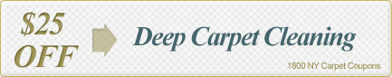 Cleaning Coupons | $25 off deep cleaning | 1800 NY Carpet