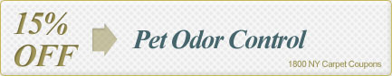 Cleaning Coupons | 15% off pet odor control | 1800 NY Carpet