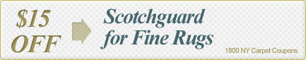 Cleaning Coupons | $15 off scotchguard for rugs | 1800 NY Carpet