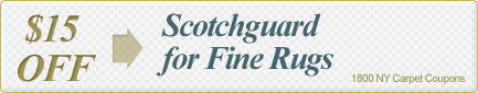 Cleaning Coupons | $15 off scotchguard for rugs | 1800 NY Carpet